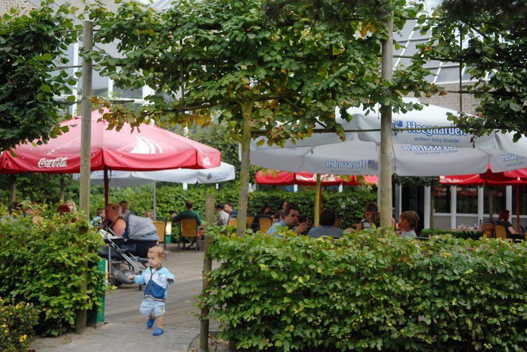 Sunparks Kempense Meren Mol Dış mekan fotoğraf
