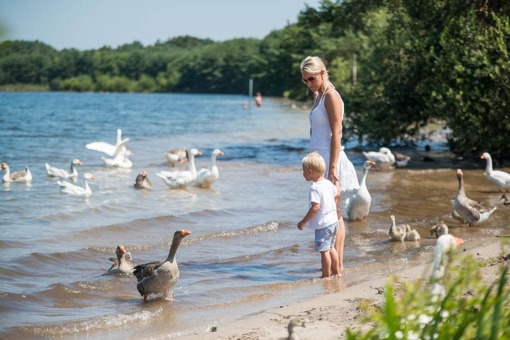 Sunparks Kempense Meren Mol Dış mekan fotoğraf